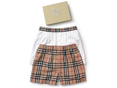 boxer dog in burberry clothes|burberry boxers for men.